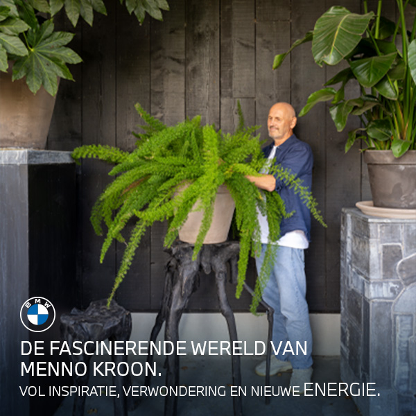 DE FASCINERENDE WERELD VAN MENNO KROON.