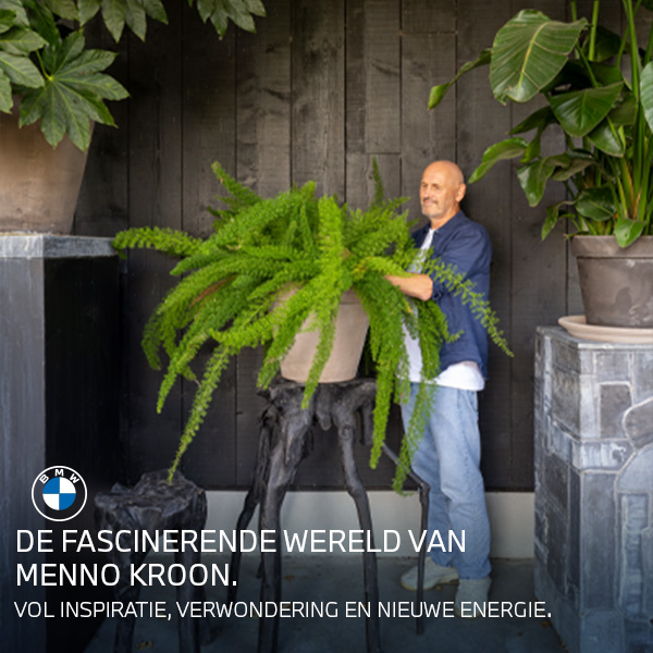 DE FASCINERENDE WERELD VAN MENNO KROON.